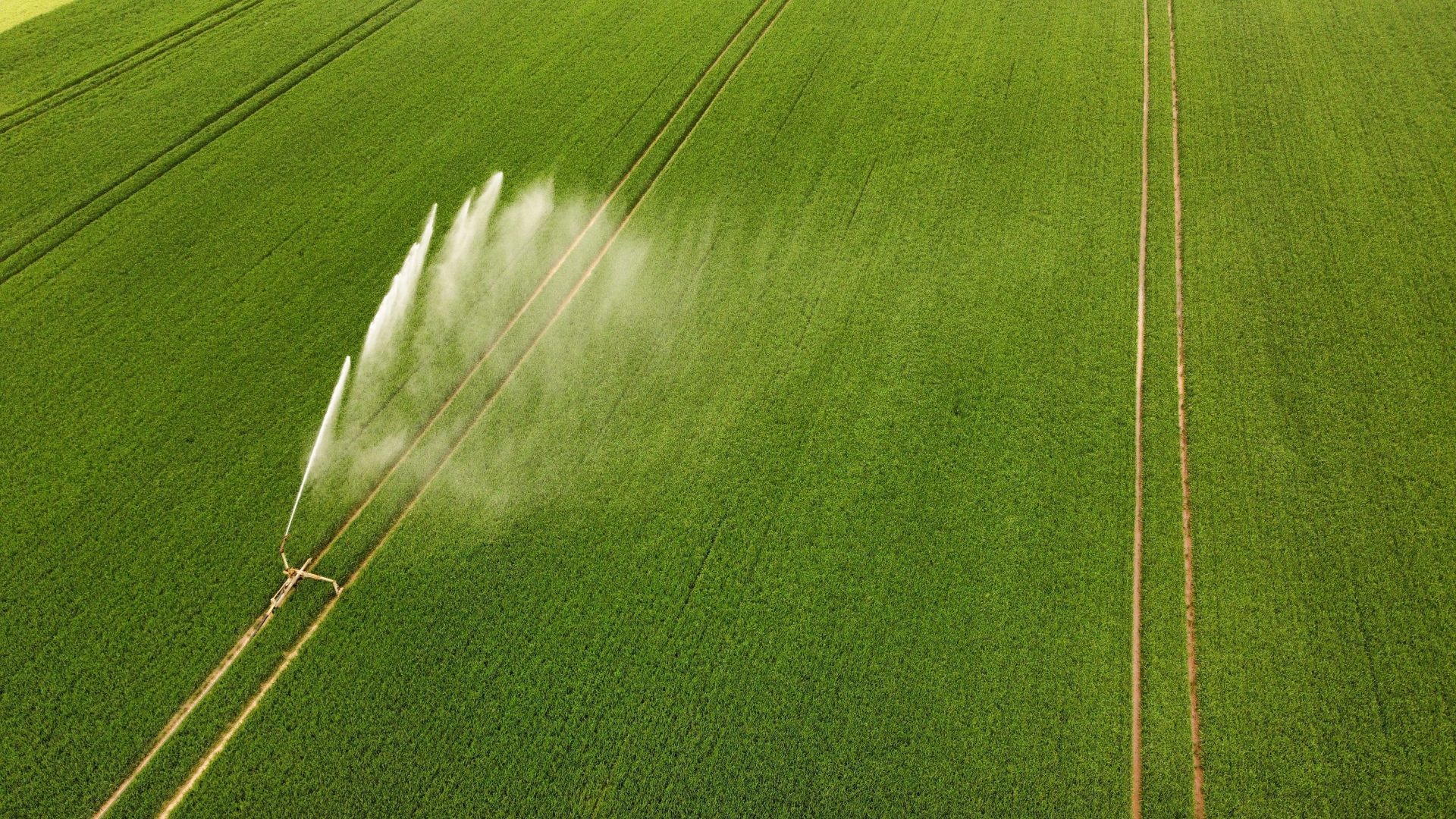 KPN Io T Agriculture